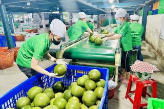 Làn sóng chuẩn hóa xanh: Cuộc đua sinh tồn của doanh nghiệp vừa và nhỏ