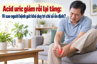 Acid uric giảm rồi lại tăng: Vì sao người bệnh gút khó duy trì chỉ số ổn định?