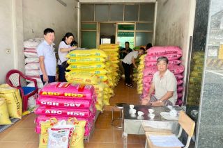 Hải Phòng: Kiểm tra chất lượng thức ăn chăn nuôi tại các cơ sở kinh doanh