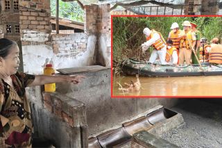 Xác heo chết trôi sông Đồng Nai: Nỗi lo dịch bệnh và những chuồng trại bỏ không
