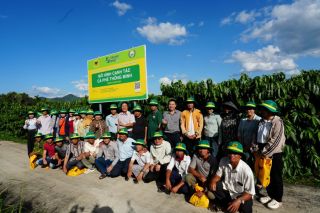 Canh tác cà phê thông minh tại Đắk Hà: Cây khoẻ, giữ quả tốt, giảm phát thải