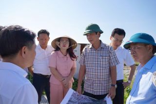 Quảng Trị: Đẩy nhanh giải phóng mặt bằng Dự án Tổ hợp Giáo dục FPT Đồng Hới