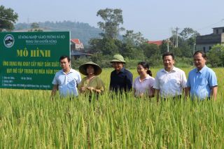 Hà Nội: Xã Trung Giã đẩy mạnh cơ giới hóa, phát triển vùng sản xuất nông nghiệp tập trung