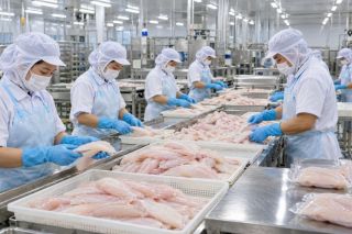 Đồng Tháp: Xuất khẩu vượt 8,4 tỷ USD, rau quả tăng hơn 20%