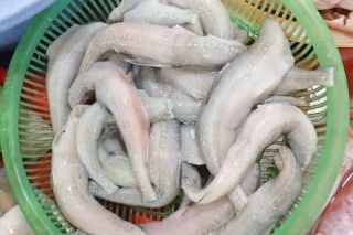 Cá khoai xứ Quảng – Hương vị ấm lòng mùa gió lạnh