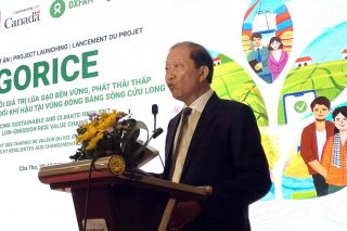 Dự án GORICE hướng tới chuỗi giá trị lúa gạo chất lượng cao, phát thải thấp, bền vững