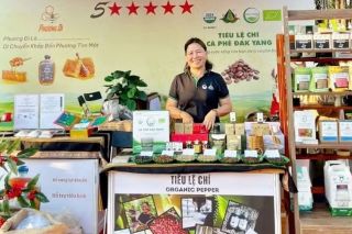 Hợp tác xã Nông nghiệp và dịch vụ Nam Yang: Nâng tầm hồ tiêu hữu cơ