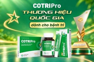 COTRIPro: Hai kỳ liên tiếp được công nhận Thương hiệu quốc gia Việt Nam