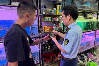 Thanh Hóa: Đội Quản lý thị trường số 5 tăng cường kiểm soát thị trường cá cảnh và phụ kiện thủy sinh