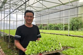 Hợp tác xã Dịch vụ nông nghiệp tổng hợp Tân Tiến: Nâng tầm nông sản Đà Lạt
