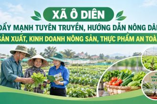Hà Nội: Xã Ô Diên đặt mục tiêu đào tạo kỹ năng số cho 200 nông dân, tăng minh bạch nguồn gốc nông sản