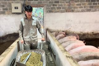 Minh bạch chuỗi giá trị chăn nuôi: Khi người tiêu dùng kiểm chứng thương hiệu bằng dữ liệu số