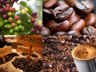 Giá nông sản hôm nay 30/06: Giá cà phê Arabica tăng rất mạnh, thị trường tiêu trong nước đi ngang