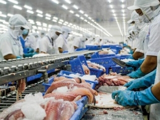 Trung Đông - thị trường xuất khẩu tiềm năng của cá tra năm 2023