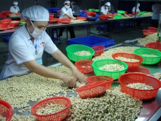 Italy muốn trở thành đối tác hàng đầu của Việt Nam trong EU về nông nghiệp