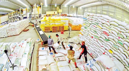 Tuần qua, giá gạo xuất khẩu của Việt Nam tăng 5 USD/tấn
