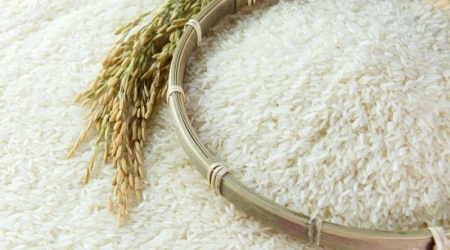 Xuất khẩu gạo, giá gạo Việt được hưởng lợi từ nhu cầu tăng cao