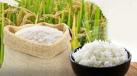 Giá lúa gạo hôm nay 04/12: Tăng nhẹ với nhiều loại gạo