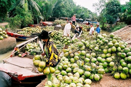 Sản phẩm CN nông thôn tiêu biểu: Chú trọng xây dựng thương hiệu