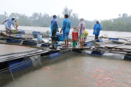 Xả lũ đột ngột, dân không kịp trở tay