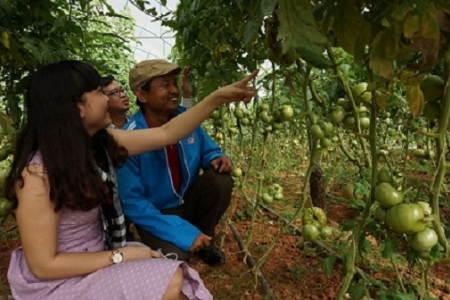 Phát triển nông nghiệp công nghệ cao: Thị trường đầy tiềm năng