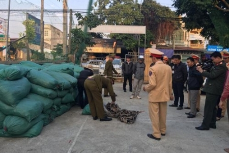 Thanh Hóa: Bắt giữ hơn 11 tấn da trâu, bò hôi thối