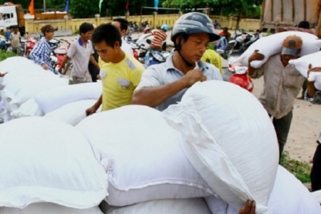 Hỗ trợ hơn 10.000 tấn gạo cho 12 tỉnh