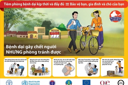 Tiến tới loại trừ bệnh Dại