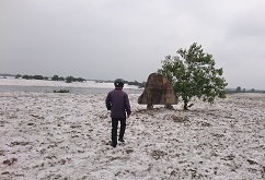 Thừa Thiên Huế: Doanh nghiệp bỏ hoang dự án, dân “khát” đất sản xuất