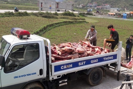 Cao Bằng: Tiêu hủy hơn 4,2 tấn thịt lợn không đủ tiêu chuẩn an toàn vệ sinh thực phẩm