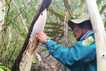 Huyện U Minh (Cà Mau): Xử lý người vận chuyển ong nuôi không rõ nguồn gốc