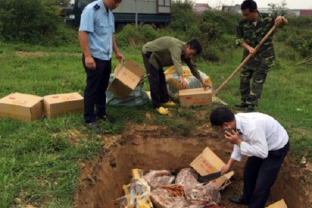 Quảng Ninh: Thu giữ, tiêu hủy 240kg lòng lợn vô chủ