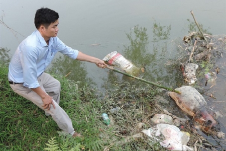 Vĩnh Phúc: Công tác kiểm tra, giám sát tiêu hủy xác gia súc còn hạn chế