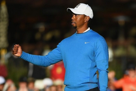 Tiger Woods thông báo kế hoạch thiết kế sân golf vào tuần tới