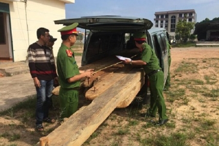 Quảng Bình: Mật phục, bắt gọn xe gỗ lậu ngụy trang trong đêm