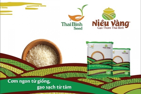 Gạo Niêu Vàng: Tinh hoa miền đất lúa