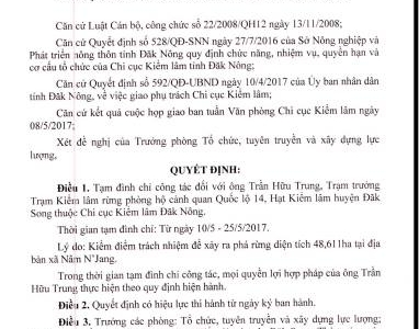 Vụ rừng Đắk Nông bị triệt phá: Đình chỉ công tác 3 cán bộ kiểm lâm thiếu trách nhiệm