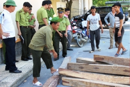 Thanh Hóa: Phát hiện, xử lý 179 vụ vi phạm Luật Bảo vệ và Phát triển rừng