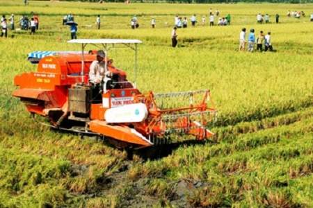 Ban hành 15 tiêu chí giám sát, đánh giá về cơ cấu lại ngành nông nghiệp