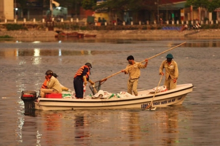 Hà Nội: Cá lại chết trên hồ Hoàng Cầu