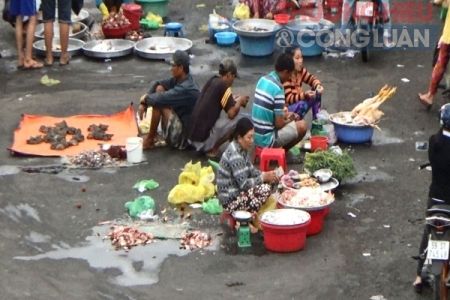 TP. HCM: Sắp đến đích an toàn thực phẩm