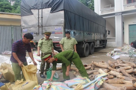 Thanh Hóa: Phát hiện, bắt giữ hơn 2,7 tấn ngà voi giấu trong các thùng hoa quả