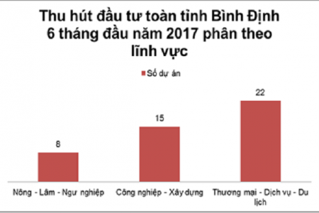 Bình Định: Vận dụng linh hoạt, hiệu quả trong thu hút đầu tư