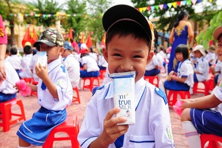 Sữa học đường: Kế hoạch ngắn cho trăm năm trồng người của bà Thái Hương