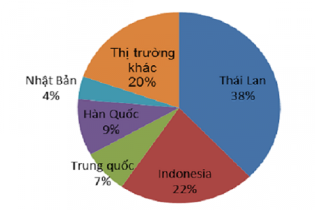 Nhập khẩu ô tô nguyên chiếc - xe Thái ùn ùn đổ về Việt Nam