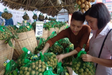 Khai mạc Tuần lễ Nhãn lồng Hưng Yên tại Hà Nội