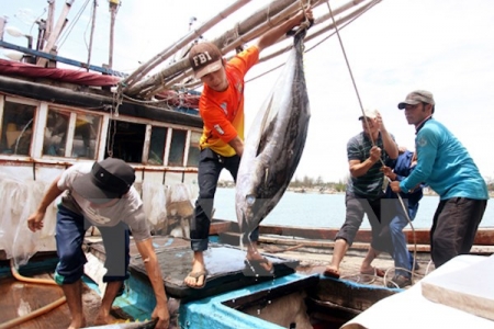 Người lao động đi làm việc tại Thái Lan cần biết...