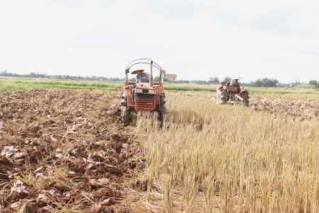 Lập đề án thí điểm cơ chế tích tụ đất đai tại Thái Bình, Hà Nam