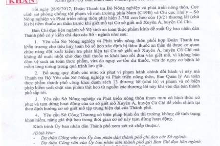 Vụ 3.750 con heo bị tiêm thuốc an thần - Bài 2: Phó chủ tịch thành phố yêu cầu xử phạt