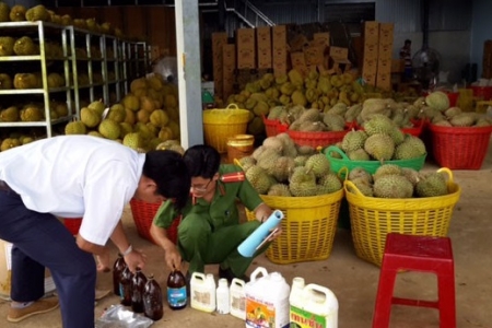 Đắk Nông: Xử phạt 60 triệu đồng đối với doanh nghiệp “luột” sầu riêng vào hoá chất